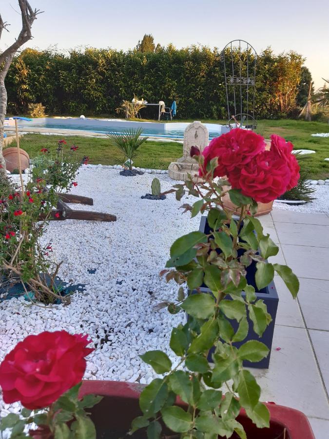 Petit Coin De Detente Seyresse Kültér fotó